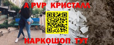 индика Пугачёв